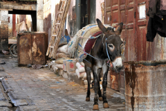 1003-Fes-Medina-13_01-scaled