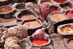 1003-Fes-Quartier-des-tanneurs-10-scaled