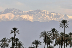 1003-Marrakech-Jardins-de-la-Menara-04_01-scaled