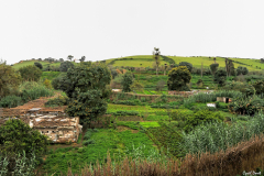 1003-Rabat-Chella-ruines-de-Sala-colonia-12_01-scaled