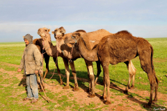 1003-Traversee-du-Moyen-Atlas-21_01-scaled