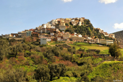 1003-Volubilis-44_01-scaled