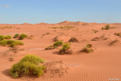 1204-Chegaga-08-scaled