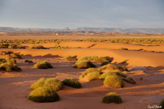 1204-Chegaga-15-scaled