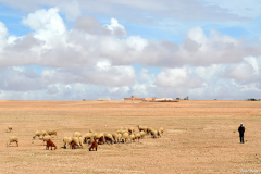 1204-Entre-Marrakech-et-Essaouira-04_01-scaled