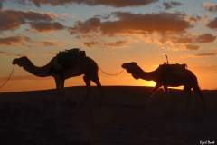 1204-Mhamid-05_01-scaled