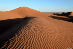 1204-Mhamid-17_01-scaled