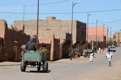 1204-Mhamid-42-scaled