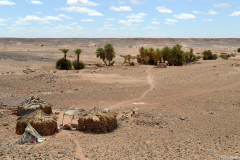 1204-Oasis-de-Mezlah-12_01-scaled