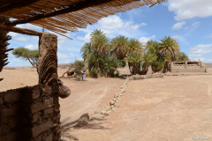 1204-Oasis-de-Mezlah-16-scaled