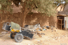 1204-Tamegroute-08-scaled