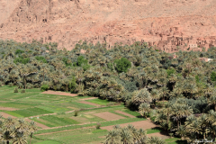 1204-Tineghir-04-scaled