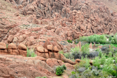 1204-Vallee-des-roses-02_01_01_1-scaled